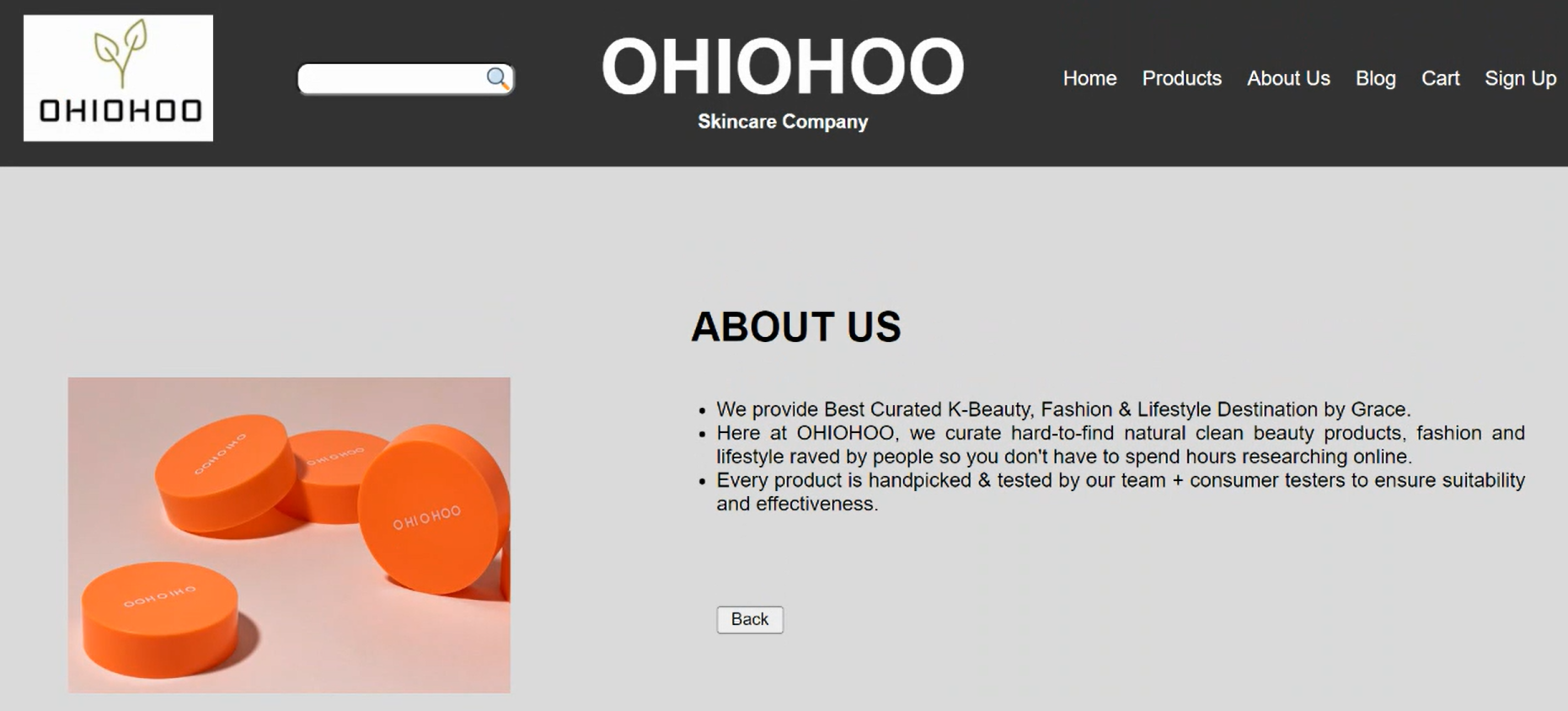 Project screenshot 2