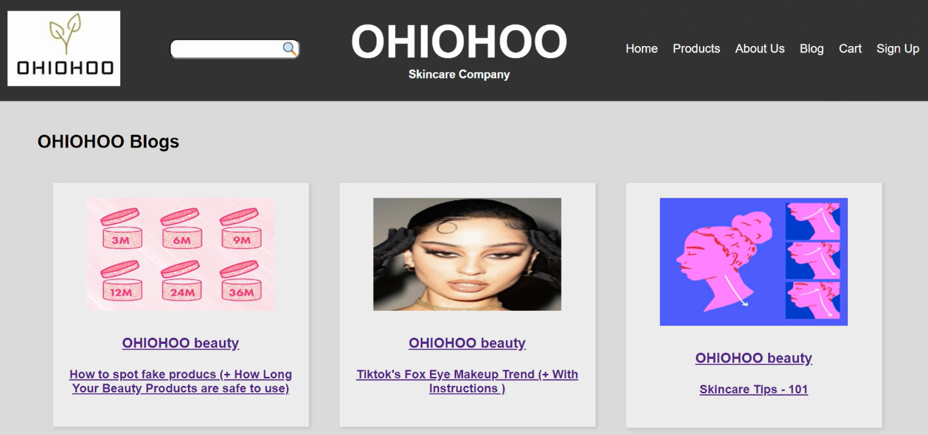 Project screenshot 3